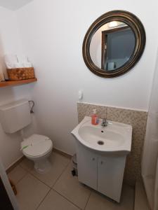 a bathroom with a toilet and a sink and a mirror at Casa cu Scări in Lunca Mare