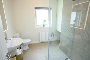 a bathroom with a shower and a toilet and a sink at Killarney Old School Road sleeps 6 in Killarney