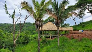 a hut with a straw roof next to palm trees at Alegria River Hideaway and Retreats in Cuajiniquil
