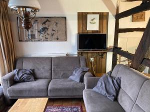 a living room with a couch and a tv at Oud-Bommerich in Mechelen