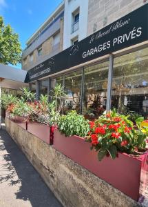 a store front with flowers and plants in windows at Le Cheval Blanc in Arles