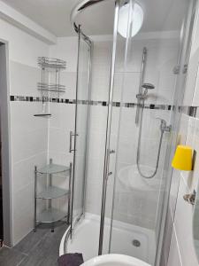 y baño con ducha, aseo y lavamanos. en Cityappartement am Goethehaus, en Weimar