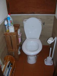 een badkamer met een wit toilet in een kamer bij T3 au calme rez de jardin station LA COLMIANE in Valdeblore