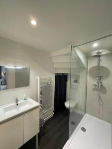 La salle de bains est pourvue d'une douche, d'un lavabo et de toilettes. dans l'établissement Escapade Moretaine - Cosy Studio, à Moret-sur-Loing