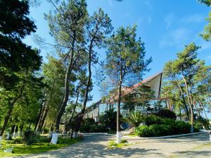 a building in the middle of trees at Villa ReTa Hotel & SPA in Grigoleti