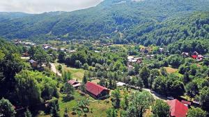 uma vista aérea de uma pequena aldeia nas montanhas em Cabana Poiana Verde em Slănic-Moldova