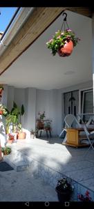 Apartman LJILJANA BELA CRKVA في بيلا تسركفا: فناء مع نباتات الفخار على سقف المنزل