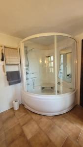 ein Bad mit einer großen Dusche in einem Zimmer in der Unterkunft Presolana Suite in Love casa vacanza in Castione della Presolana