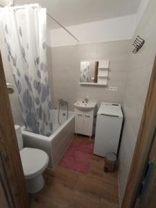 a small bathroom with a toilet and a sink at Słoneczne Centrum Apartament in Suwałki