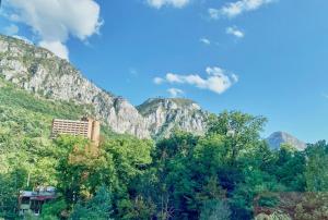 a view of a mountain with trees and a building at Casa Anca in Băile Herculane +6 photos