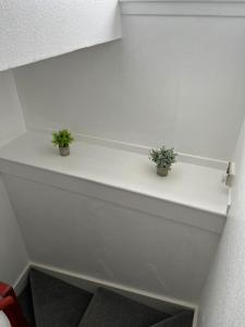 two plants sitting on a shelf in a room at Homely 3 bed town centre flat in Peterhead