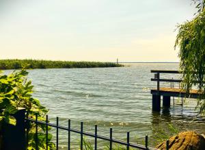 a bench sitting on a dock in the water at Auszeit am Haffufer in Wilhelmshof