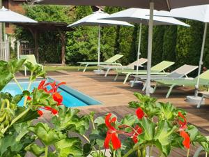 ein Pool mit Liegestühlen, Sonnenschirmen und roten Blumen in der Unterkunft Café-Hôtel Le Morillon, Domaine du Grand Massif-Samoëns in Morillon + 94 Fotos