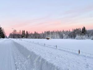 Vildmarksgård Lillviken v zimě