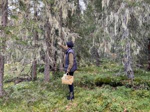 Hosté ubytování Vildmarksgård Lillviken