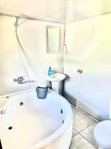Mtirala Skhivi Cottage في باتومي: حمام مع حوض ومرحاض ومغسلة