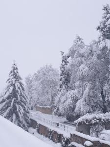 un bosque cubierto de nieve con una valla y árboles en LE SCHMOUTZ: Charmant duplex entre Colmar et Mulhouse (1-4 pers), en Ensisheim