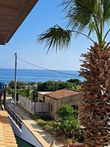 a palm tree on a balcony with a view of the ocean at La Foggia seaside paradise in Siculiana