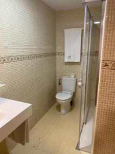 W łazience znajduje się toaleta, umywalka i prysznic. w obiekcie Apartamentos Palacio Azcárate Calle Calvario w mieście Ezcaray