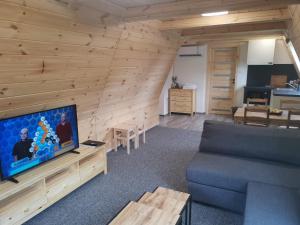 TV a/nebo společenská místnost v ubytování Wellness Hotel Koliba