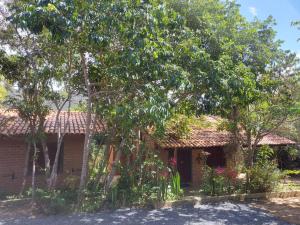 卡彭鎮的住宿－Beco das Garrafas，前面有树木的砖房
