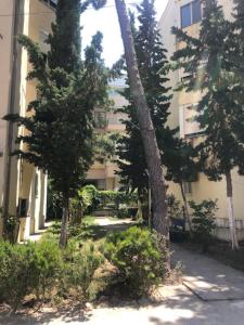 a building with trees in front of a building at Lili's House Golem, Durres in Golem