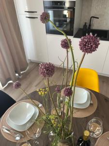 Fotografie z fotogalerie ubytování Sea story 2 Mali Lošinj v destinaci Mali Lošinj