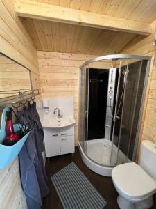 a bathroom with a shower and a toilet and a sink at Mark VI Mirotki 12 ImWald Bory Tucholskie in Skórcz