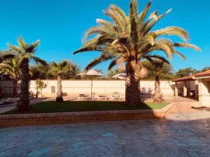 a group of palm trees in a courtyard at CASA RURAL VILLARRUBIA in Villarrubia de los Ojos