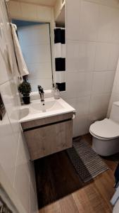 bagno con lavandino, servizi igienici e specchio di Rocky House - Hostal Boutique Providencia a Santiago