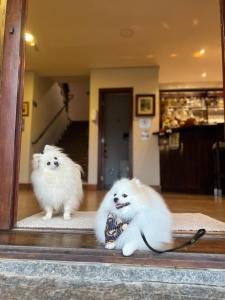un riflesso di due cani bianchi in uno specchio di Pousada das Lavandas a Campos do Jordão