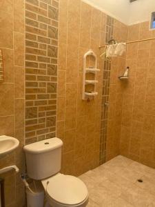 ein Bad mit einem WC, einem Waschbecken und einer Dusche in der Unterkunft Villa Celeste in Arboletes