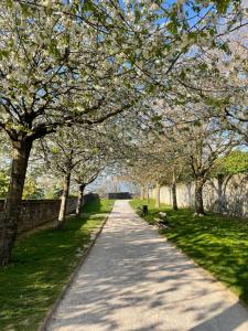 a tree lined path with benches in a park at La Boulonnaise in Boulogne-sur-Mer