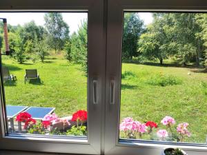 a window with a view of a field of flowers at BIRZI Parkside Lodge 