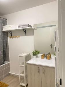 ein Bad mit einem Waschbecken und einem Etagenbett in der Unterkunft Bel appart T2 idéalement situé in Bondy