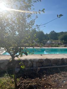 un árbol frente a una piscina en Holiday Home “Vuko” en Trilj