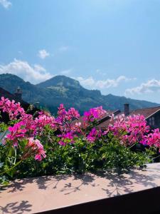 a bunch of pink flowers sitting on a ledge at Berge, Wandern, Erholung pur! Fewo Tinka-Haus Katja in Bad Hindelang