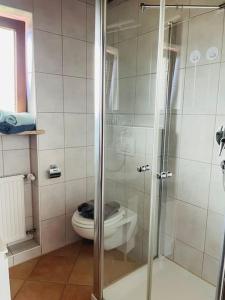 a bathroom with a toilet and a glass shower stall at Berge, Wandern, Erholung pur! Fewo Tinka-Haus Katja in Bad Hindelang
