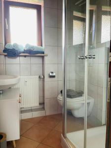 a bathroom with a toilet and a glass shower at Berge, Wandern, Erholung pur! Fewo Tinka-Haus Katja in Bad Hindelang