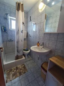 La salle de bains est pourvue d'un lavabo, de toilettes et d'une douche. dans l'établissement Guesthouse Eljuga Family, à Stari Grad