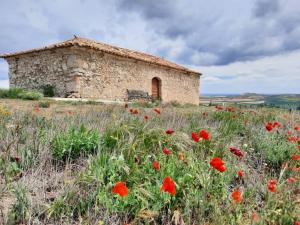 Φυσικό τοπίο κοντά σε αυτή η παραθεριστική κατοικία +13 φωτογραφίες