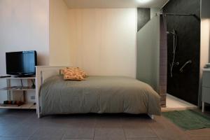 um quarto com uma cama, um chuveiro e uma televisão em Studio L'Épicurien em Spa
