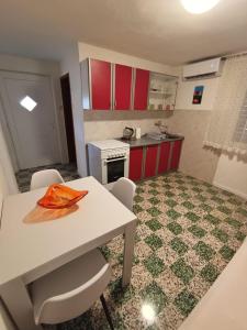 Kuchyňa alebo kuchynka v ubytovaní Guesthouse Eljuga Family