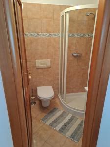 a small bathroom with a toilet and a shower at Eko Eko in Rijeka