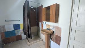 a bathroom with a sink and a shower at La casita in Cochabamba