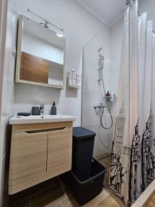 ein Bad mit einem Waschbecken und einer Dusche in der Unterkunft Adriatic Breeze_Centre of Bijela in Dubravica