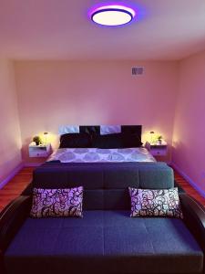 a bedroom with a large bed with purple walls at Pipo’s perfect place in Jersey City