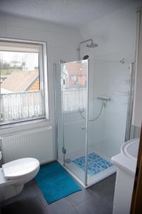 ein Bad mit einer Dusche, einem WC und einem Fenster in der Unterkunft Gästehaus am Kirschberg in Ilsenburg
