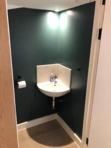 a bathroom with a sink and a green wall at 1 Bedroom Duplex Apartment in Manchester in Manchester +7 photos
