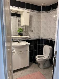 a bathroom with a toilet and a sink and a mirror at Luxury Apartment in Mladenovac